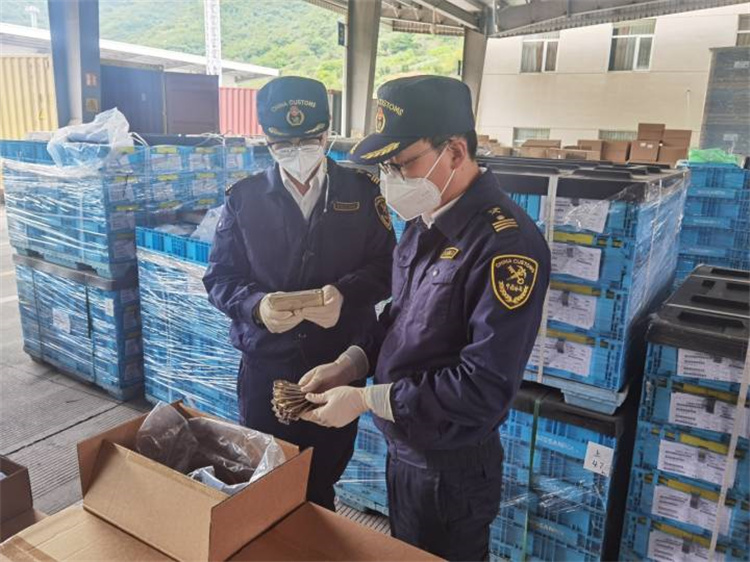 安定性確保と品質向上のため外国貿易を促進 寧波税関が20の「中核」措置を発表
